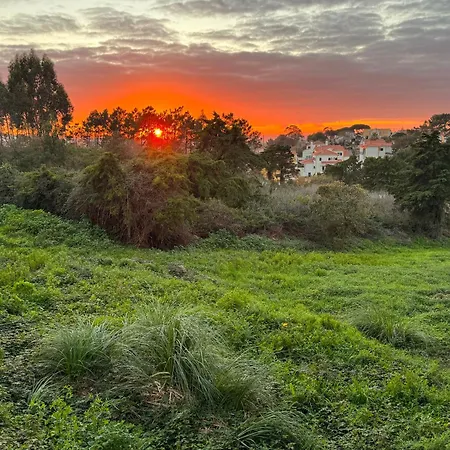 Boutique - O House Hills Bed and Breakfast Ericeira