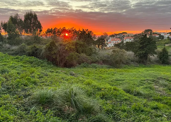 Boutique - O House Hills לינה וארוחת בוקר אריסרייה